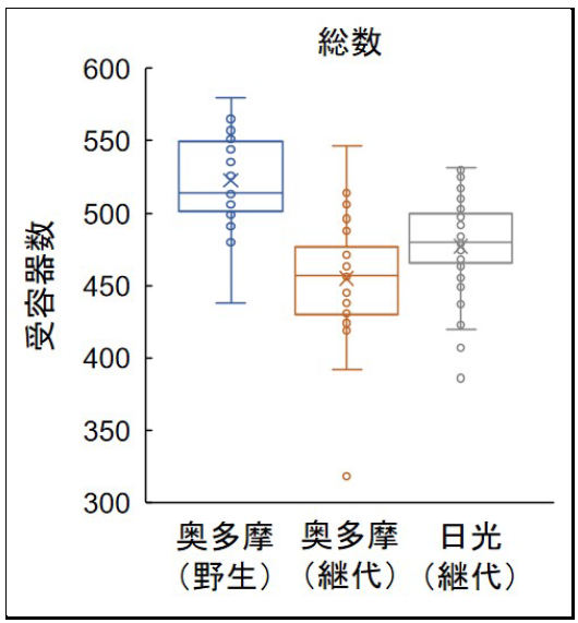 図５．ヤマメ図５．ヤマメ（サクラマスの河川型：多摩川水系）の野生魚と各事業所産の継代飼育魚の側線系受容器数の（サクラマスの河川型：多摩川水系）の野生魚と各事業所産の継代飼育魚の側線系受容器数の比較。論文中で示した各部位、各タイプの感丘数を合計して示した。