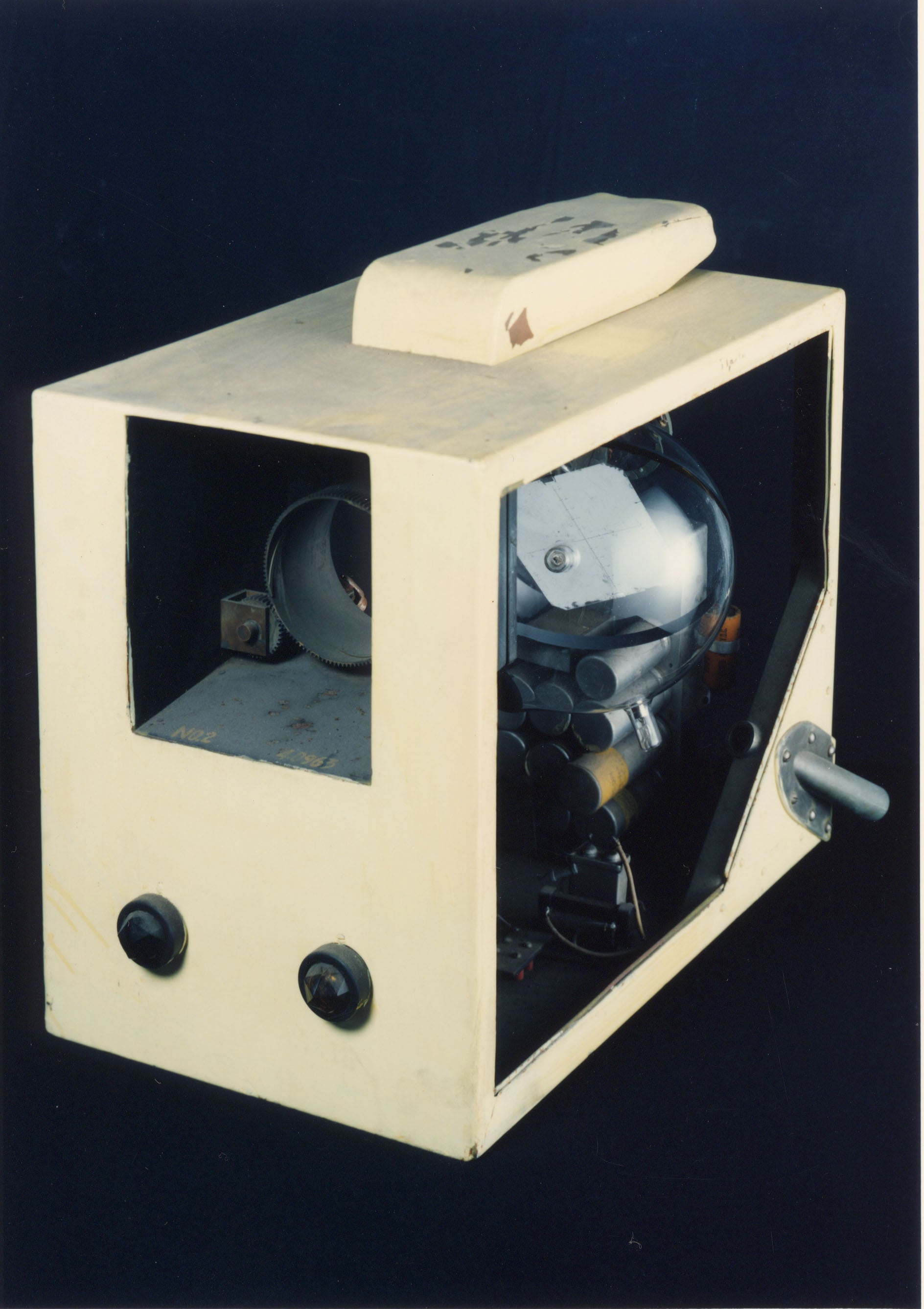 所蔵：国立科学博物館