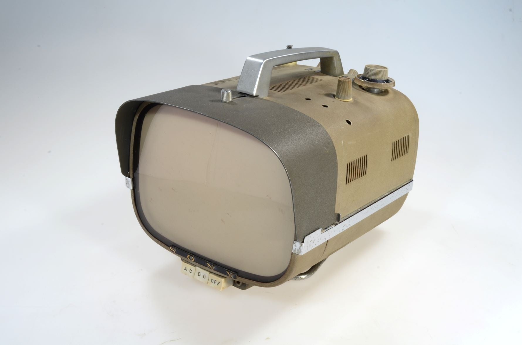 所蔵：国立科学博物館