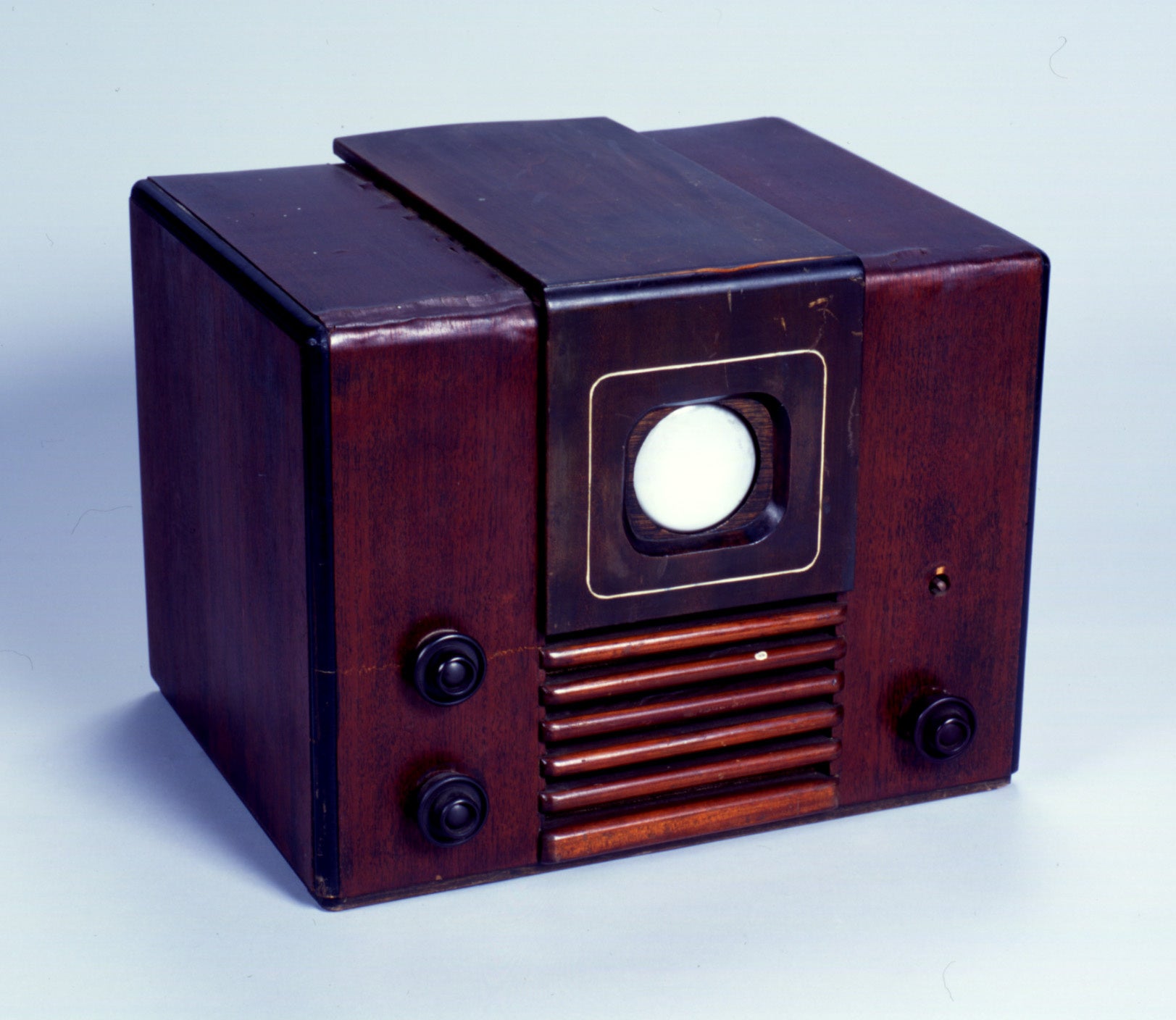 所蔵：国立科学博物館