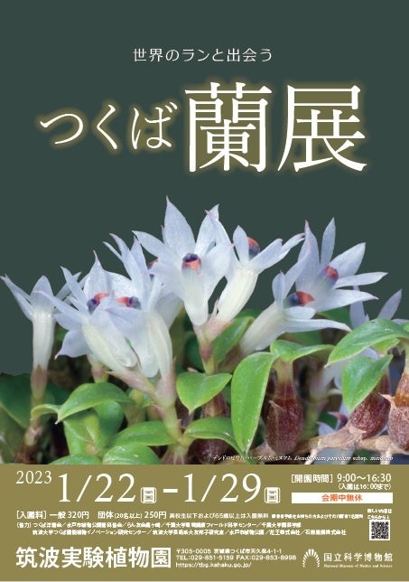 国立科学博物館】 世界初公開のランも！？つくばで世界の珍しいラン約