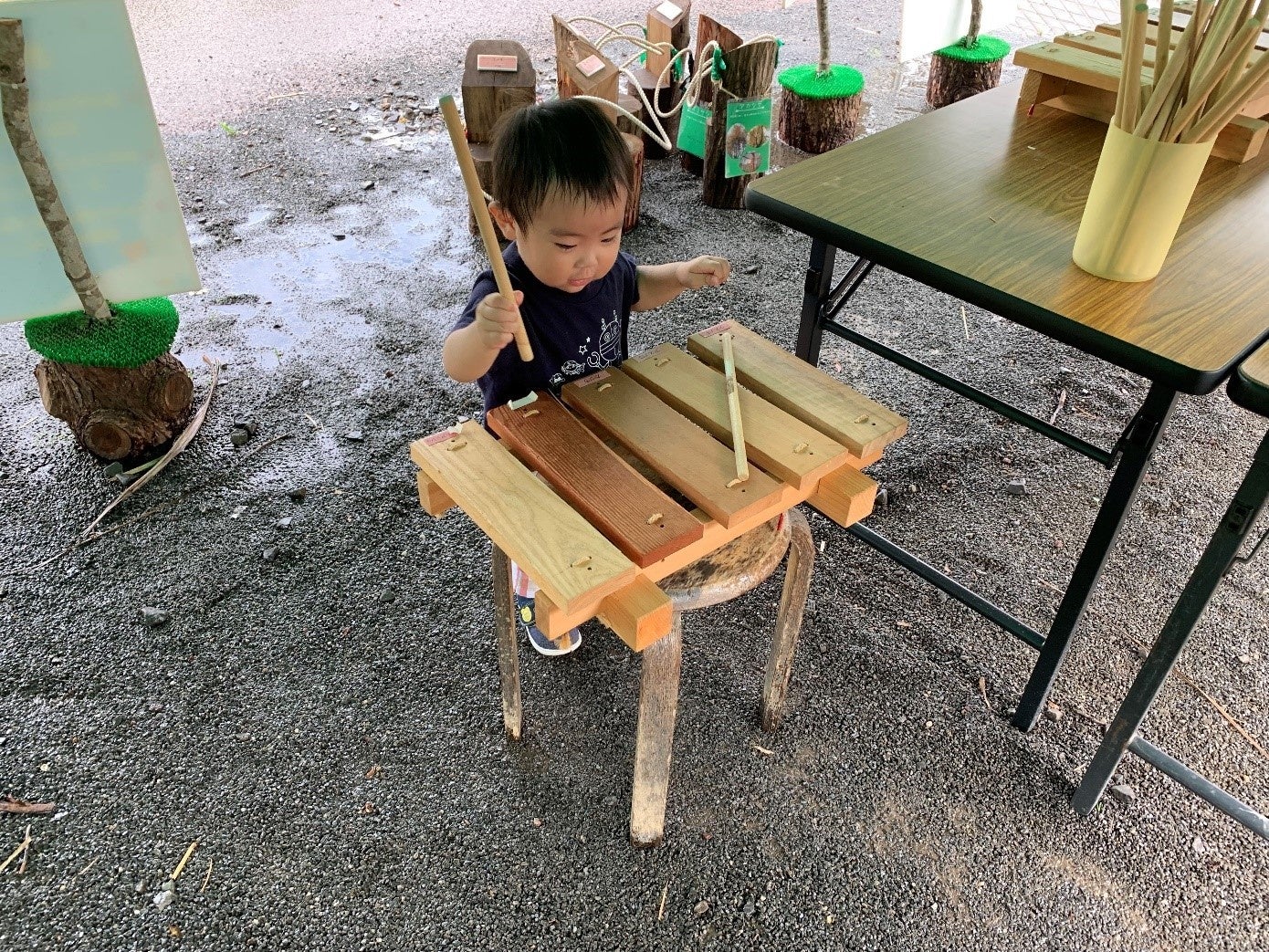 植物で遊ぼうコーナー