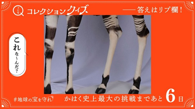 国立科学博物館】クラウドファンディングの成果ご報告 | 文化庁