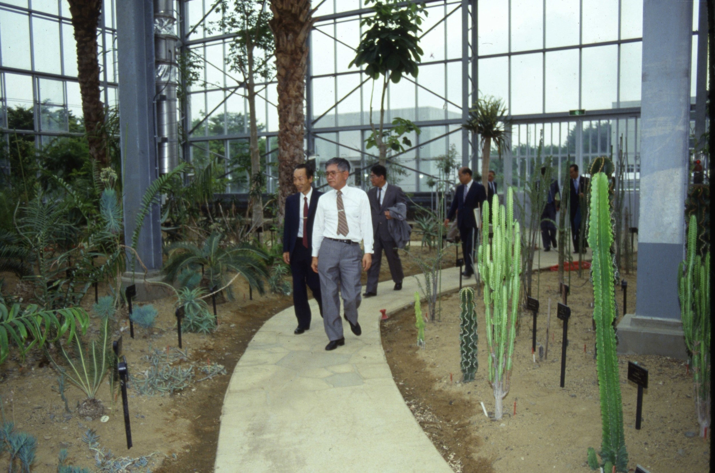 開園時のサバンナ温室（昭和61年9月）