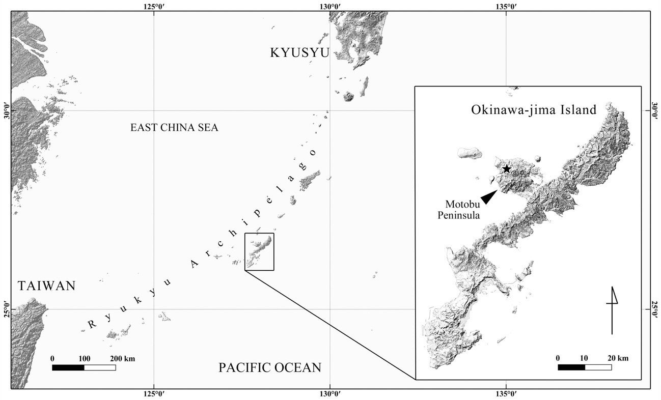 図4. オキナワアシナガメクラチビゴミムシ生息地（星印）の位置関係