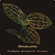 コースターのイメージ