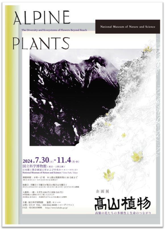 企画展「高山植物~高嶺の花たちの多様性と生命のつながり~」ポスター②