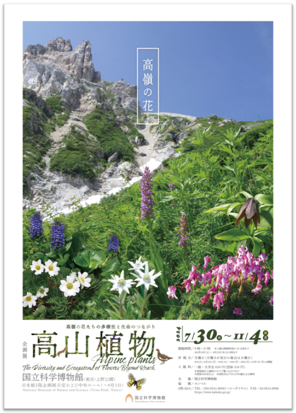 国立科学博物館】企画展「高山植物～高嶺の花たちの多様性と生命