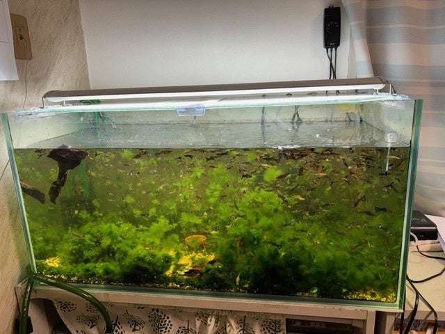 千葉県市原市の家庭用水槽