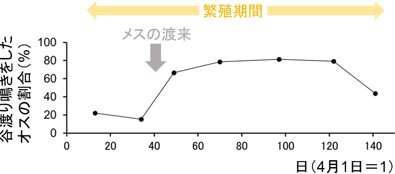 図4．谷渡り鳴きの時間的変化