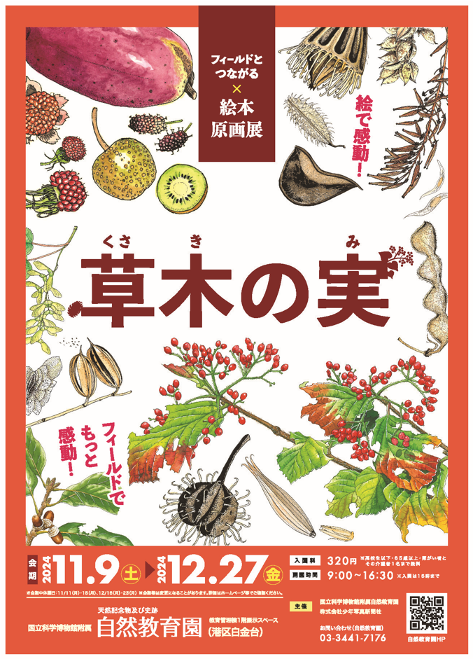 企画展「草木の実＜フィールドとつながる絵本原画展＞」ポスター