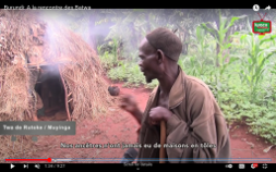 小柄な体格で欧米人にはピグミーと呼ばれる