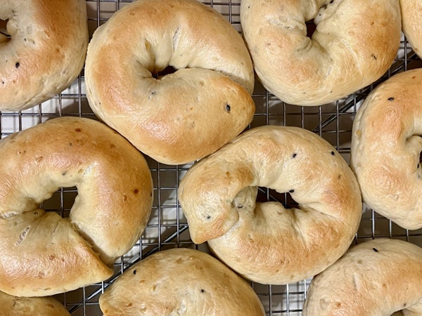 クレイ入りベーグル