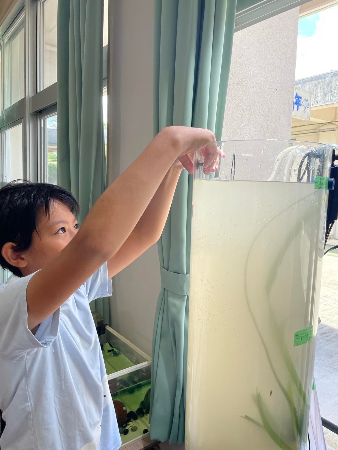 野底小学校の児童達による水槽の立ち上げ