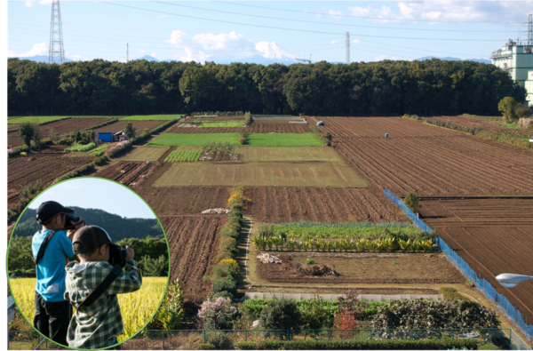 三富新田を取材（イメージ）