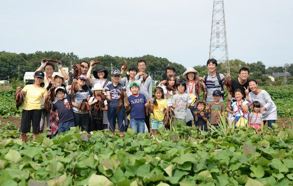 さつまいも掘り(イメージ)