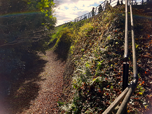 保存状態がよいお堀