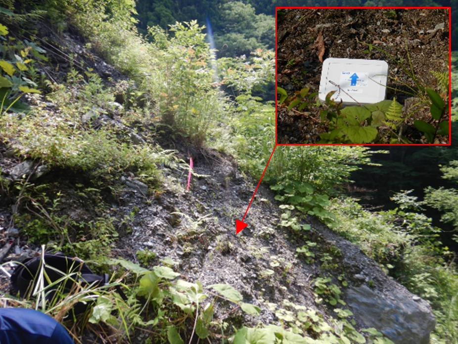 クリノポールを設置した斜面