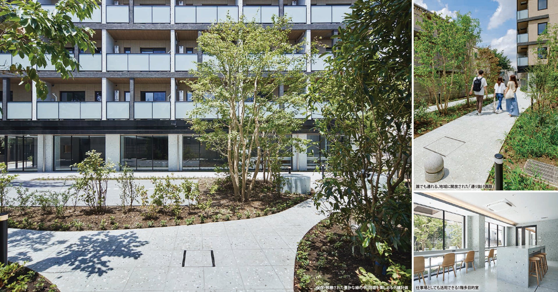 デュアルタップの開発マンション「集合住宅 コンフォリア北沢
