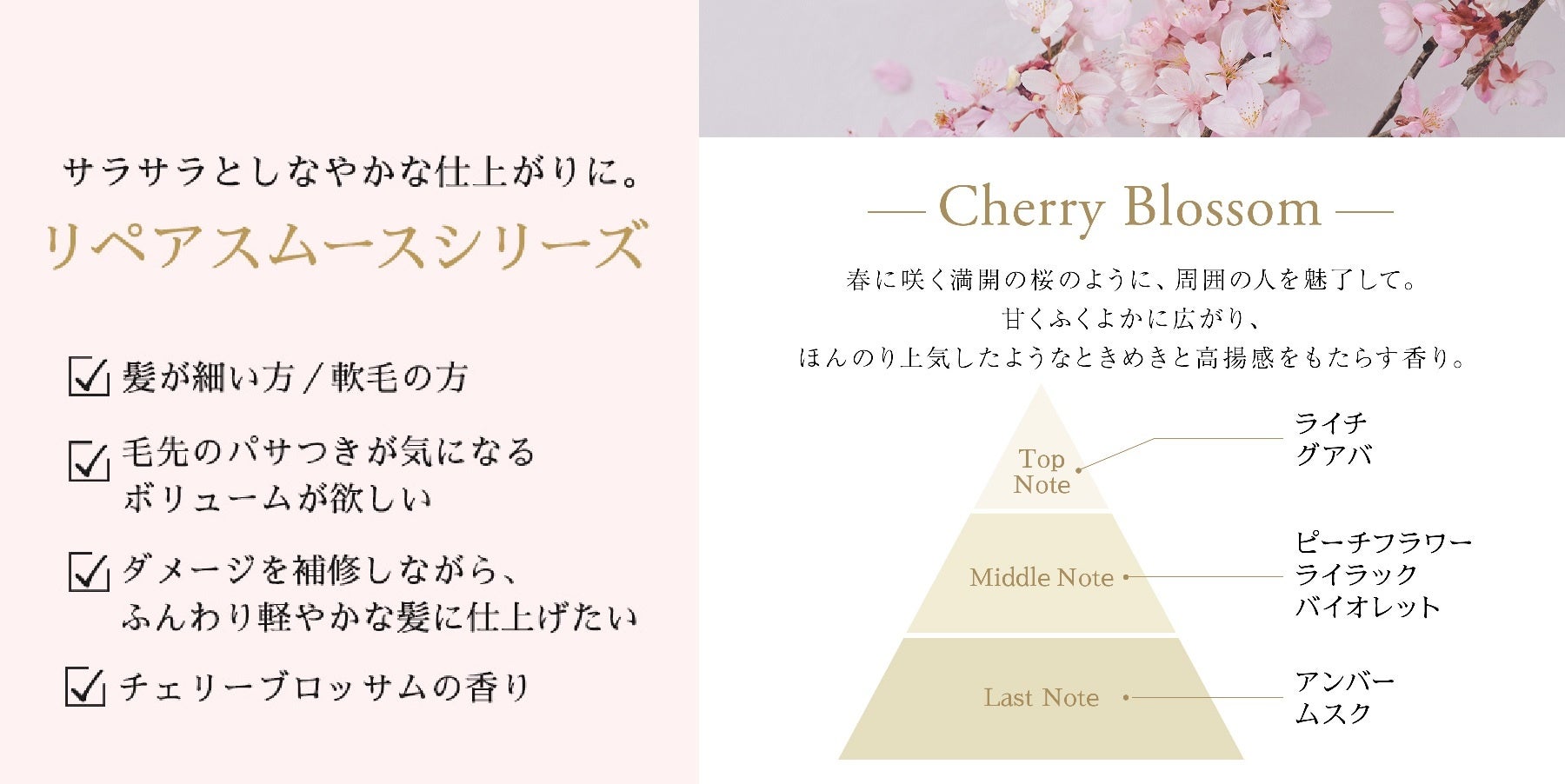 【チェリーブロッサム】１セット限定☆お得セット 春のときめきを閉じ込めた、甘くふくよかなチェリーブロッサムの
