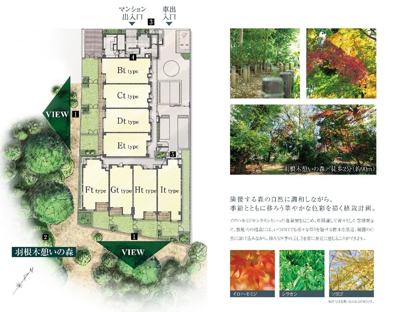 敷地配置図イラスト