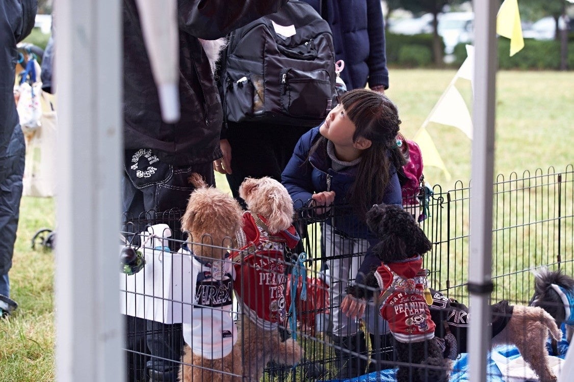 新たな迎え主との出会いを待っています