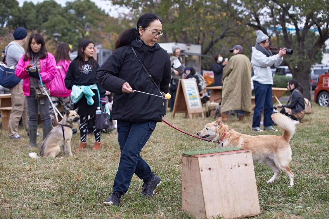 ゲームを楽しむ参加者たち。入賞した団体にはプレゼントが贈られました