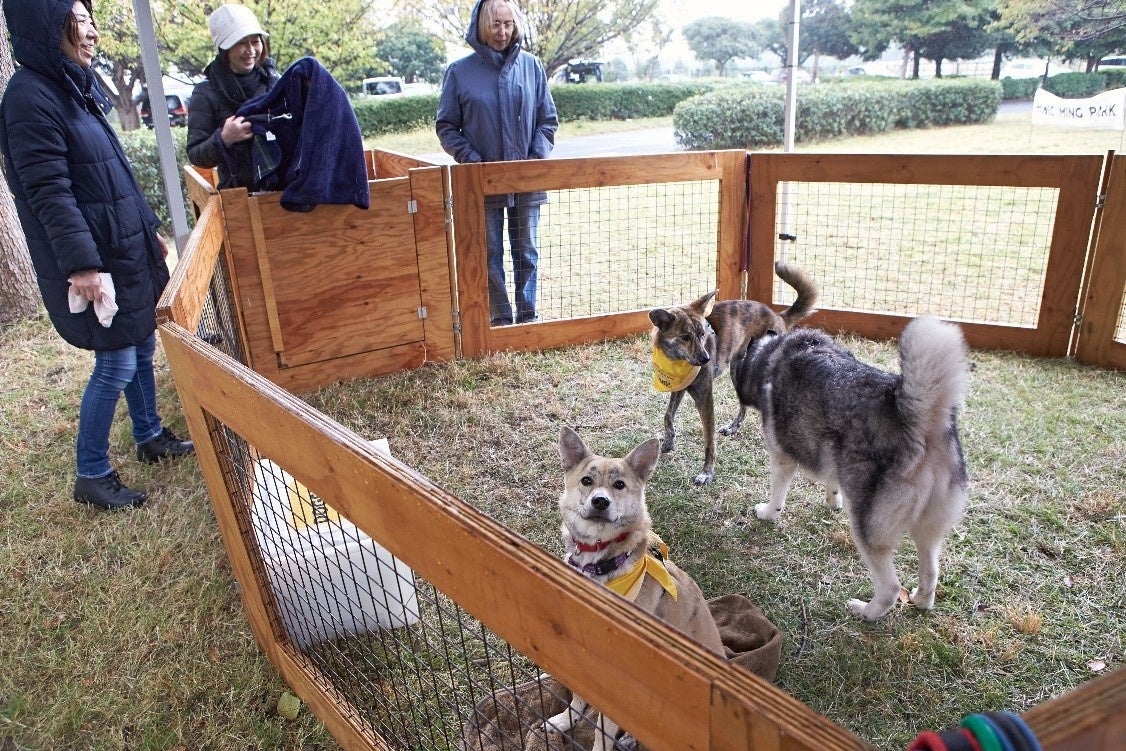 一部の保護犬たちも当日参加しました