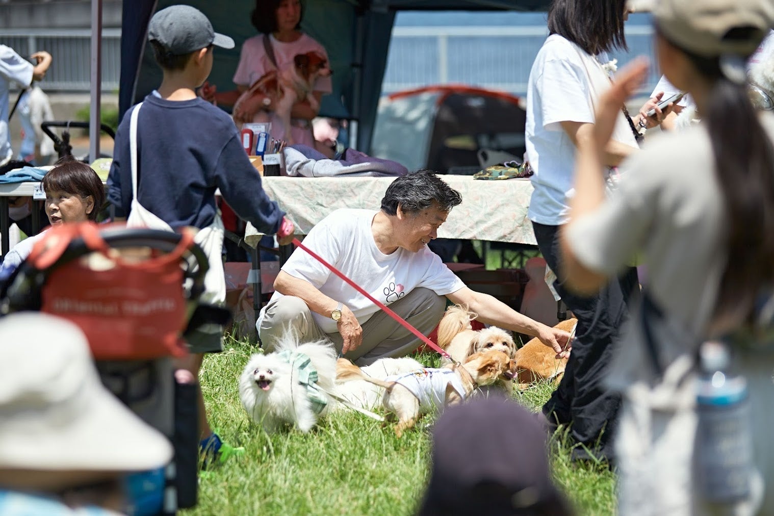 団体スタッフとの再会を楽しむ卒業犬