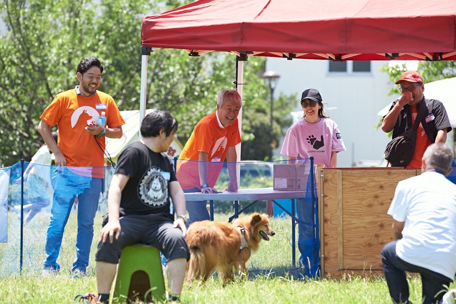 立派な姿でゲームに参加する卒業犬を優しく見守ります