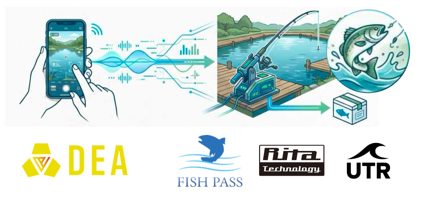 遠隔釣り堀で地域創生！DEA、新プロジェクト始動