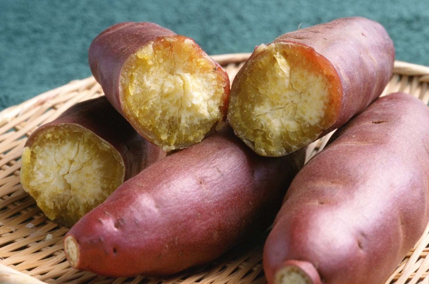 サツマイモ（画像提供：香取市）