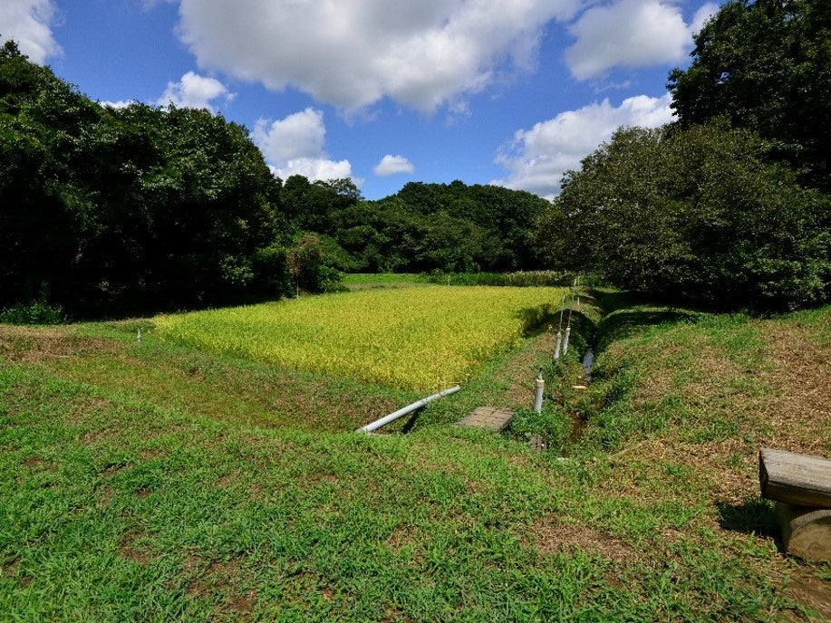 ＜エコ・アグリパーク園内の風景＞