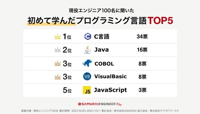 初めて学んだプログラミング言語