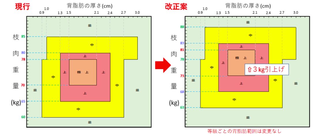 規格改正による変更点