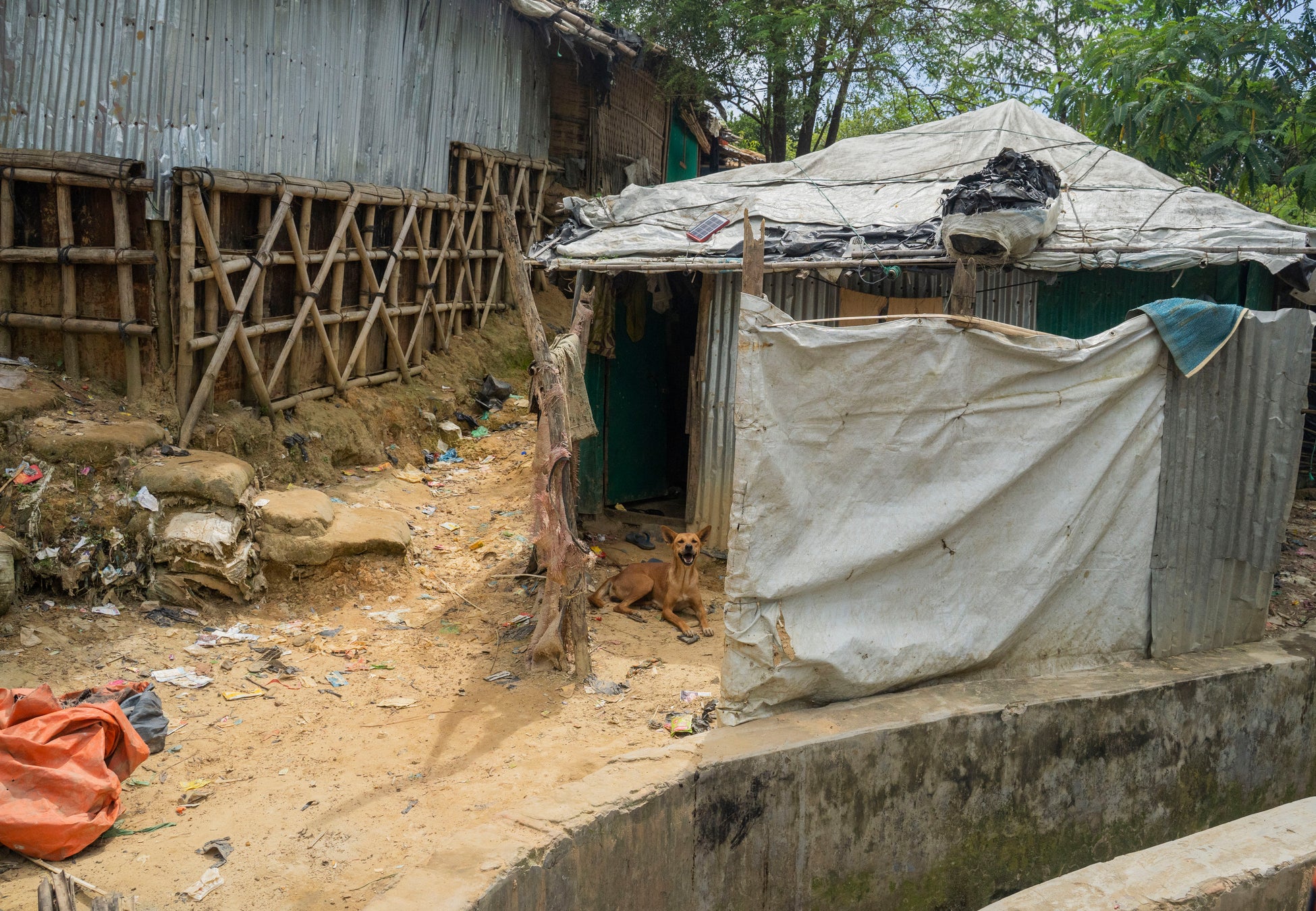 クトゥパロン難民キャンプの竹と防水シートで作られた仮設シェルター＝2022年6月27日　© Saikat Mojumder／MSF