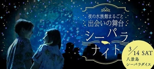 ナイトアクアリウムで1,000名が出会う「夜の水族館まるごと出会いの舞台~シーパラナイト~」2026年3月14日(土)開催 ナイトアクアリウムで1,000名が出会う「夜の水族館まるごと出会いの舞台~シーパラナイト~」2026年3月14日(土)開催