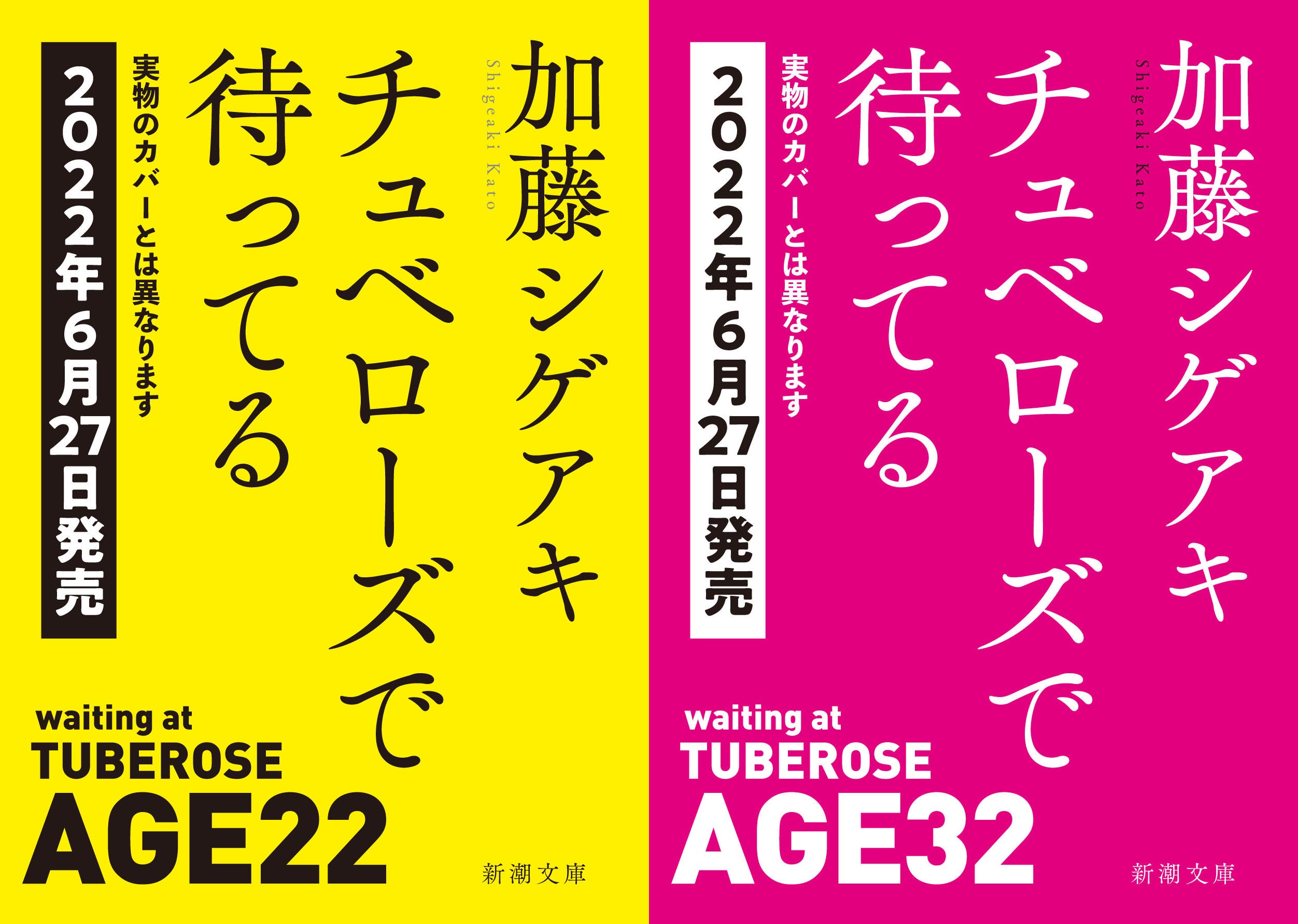 加藤シゲアキ　小説　10冊　まとめ売り 加藤シゲアキ 小説 10冊 まとめ売り