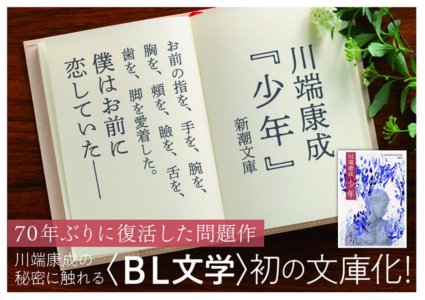 川端康成全集〈第24巻〉小説 (1982年) 川端康成全集〈第24巻〉小説 (1982年) Amazon.co.jp: 生命の谺 川端