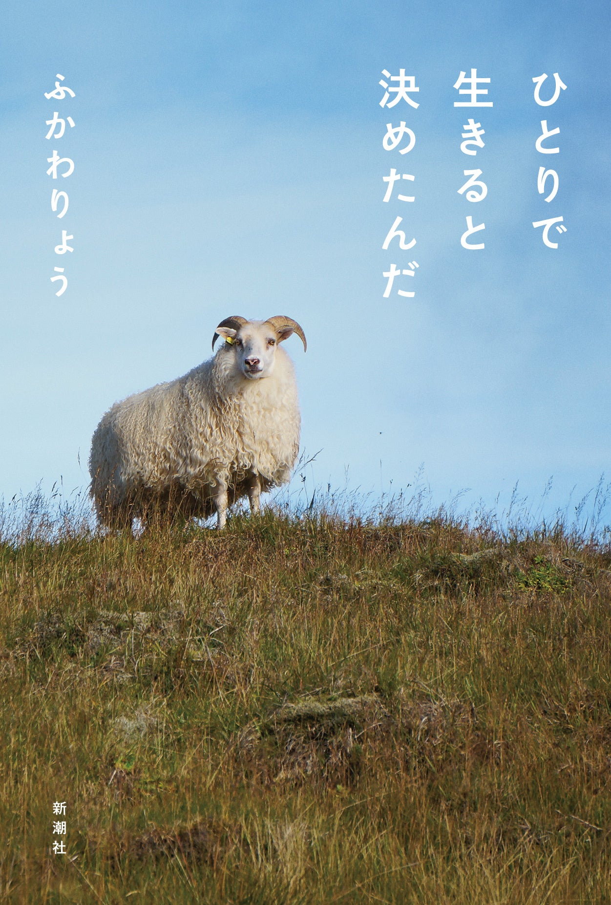 『ひとりで生きると決めたんだ』書影