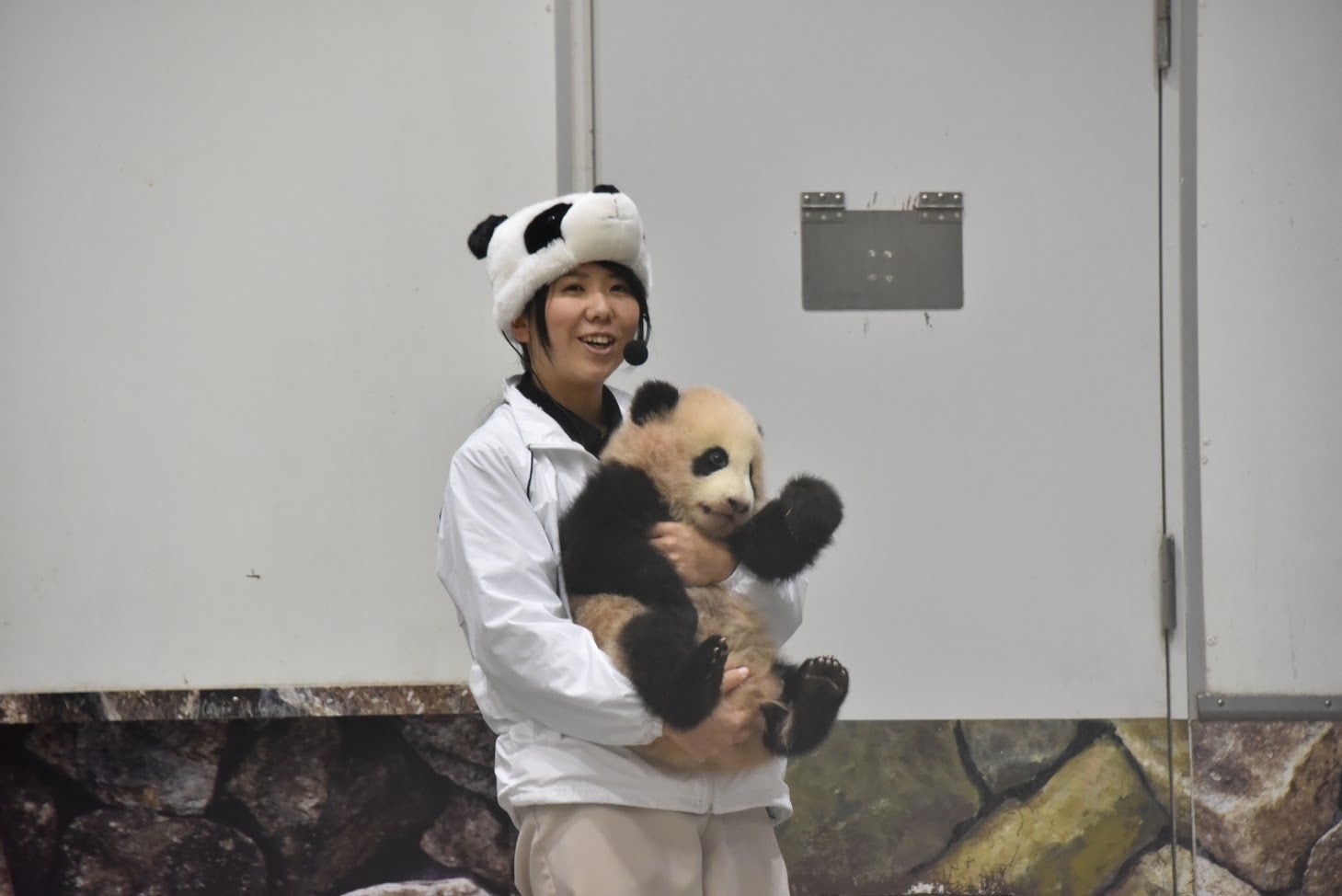 発売即重版決定！ かわいいだけじゃないパンダの魅力と謎に迫っ