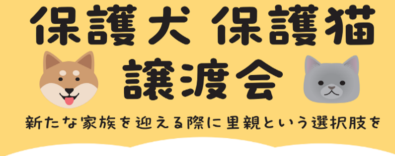 保護犬・保護猫の譲渡活動が拡大中！2026年11月　綿半店舗開催の譲渡会スケジュールが決定！