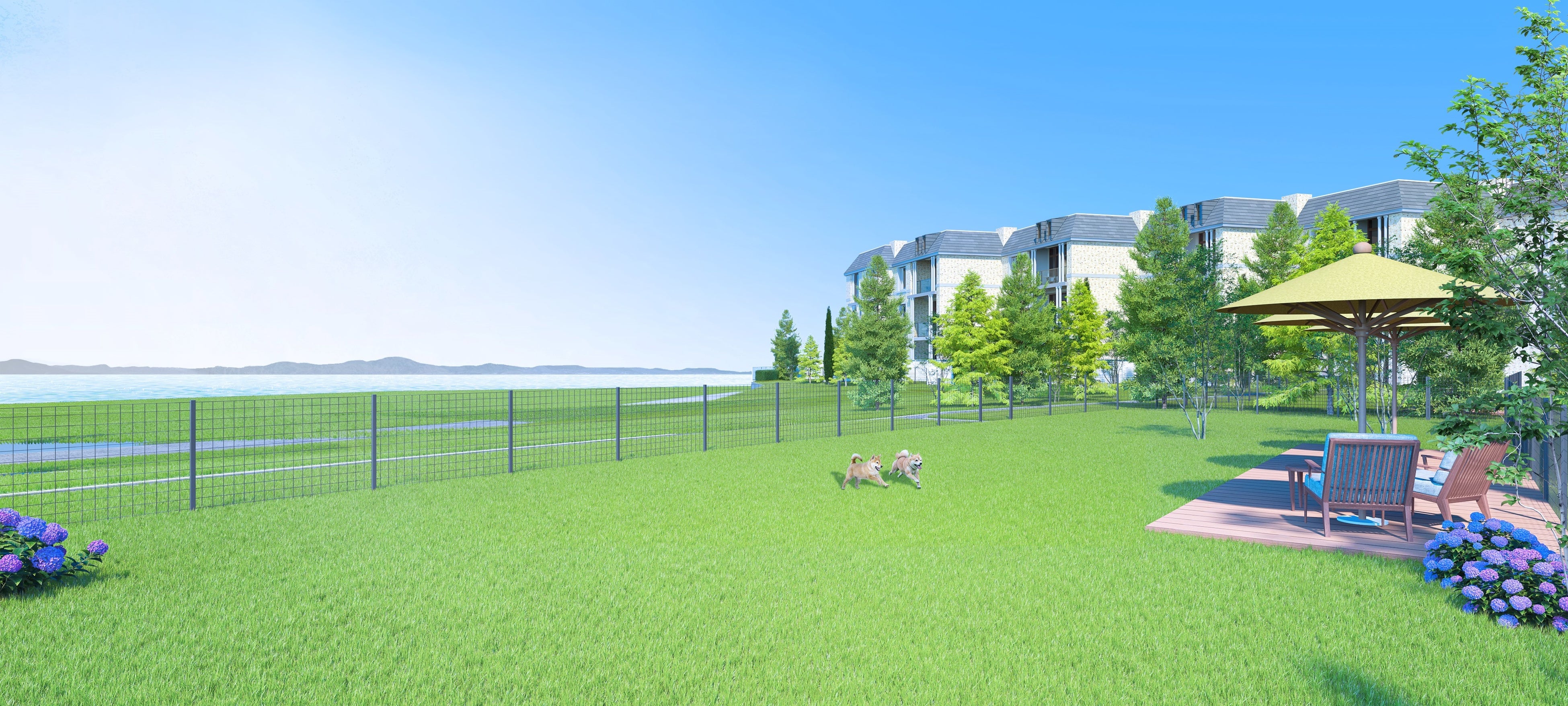 ドッグラン（イメージ）