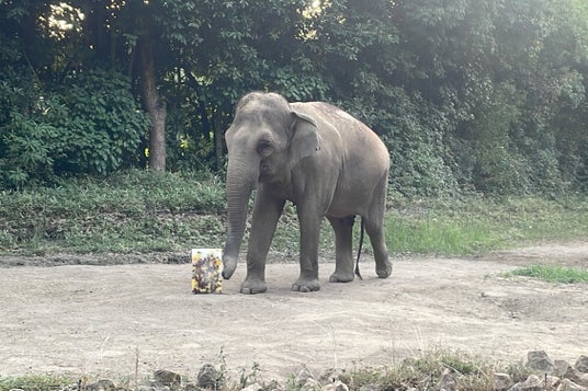 【ザ・カハラ・ホテル&リゾート 横浜】ホテルの“もったいない”を動物たちの笑顔へ。食品ロス削減と地域循環を推進する取り組みを継続実施 【ザ・カハラ・ホテル&リゾート 横浜】ホテルの“もったいない”を動物たちの笑顔へ。食品ロス削減と地域循環を推進する取り組みを継続実施