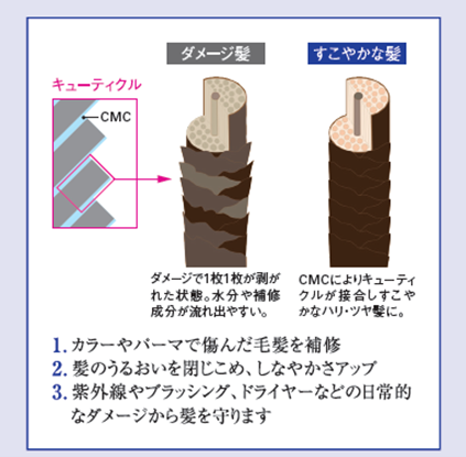 CMCによりキューティクルが接合しすこやかな髪へ