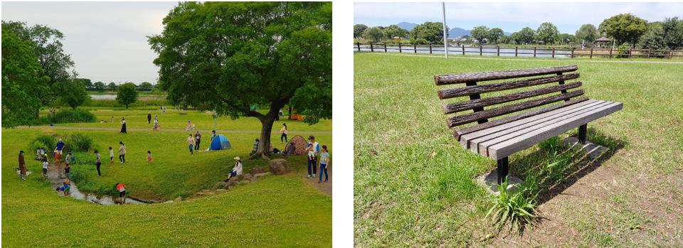 水前寺江津湖公園・ベンチの状況