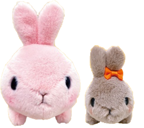 年始恒例！サミットの「ポイントでお得に交換キャンペーン」2023年の