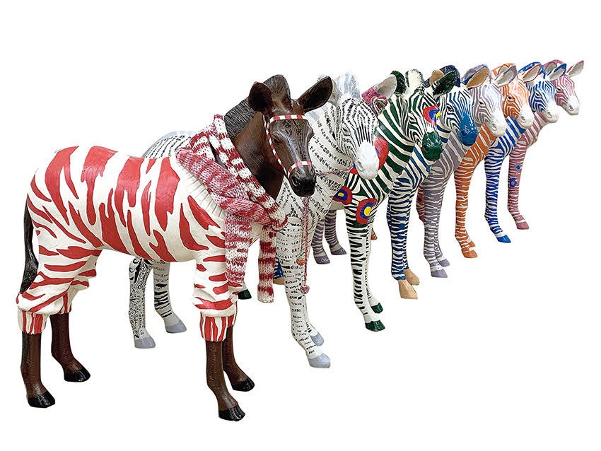 カラフルゼブラ