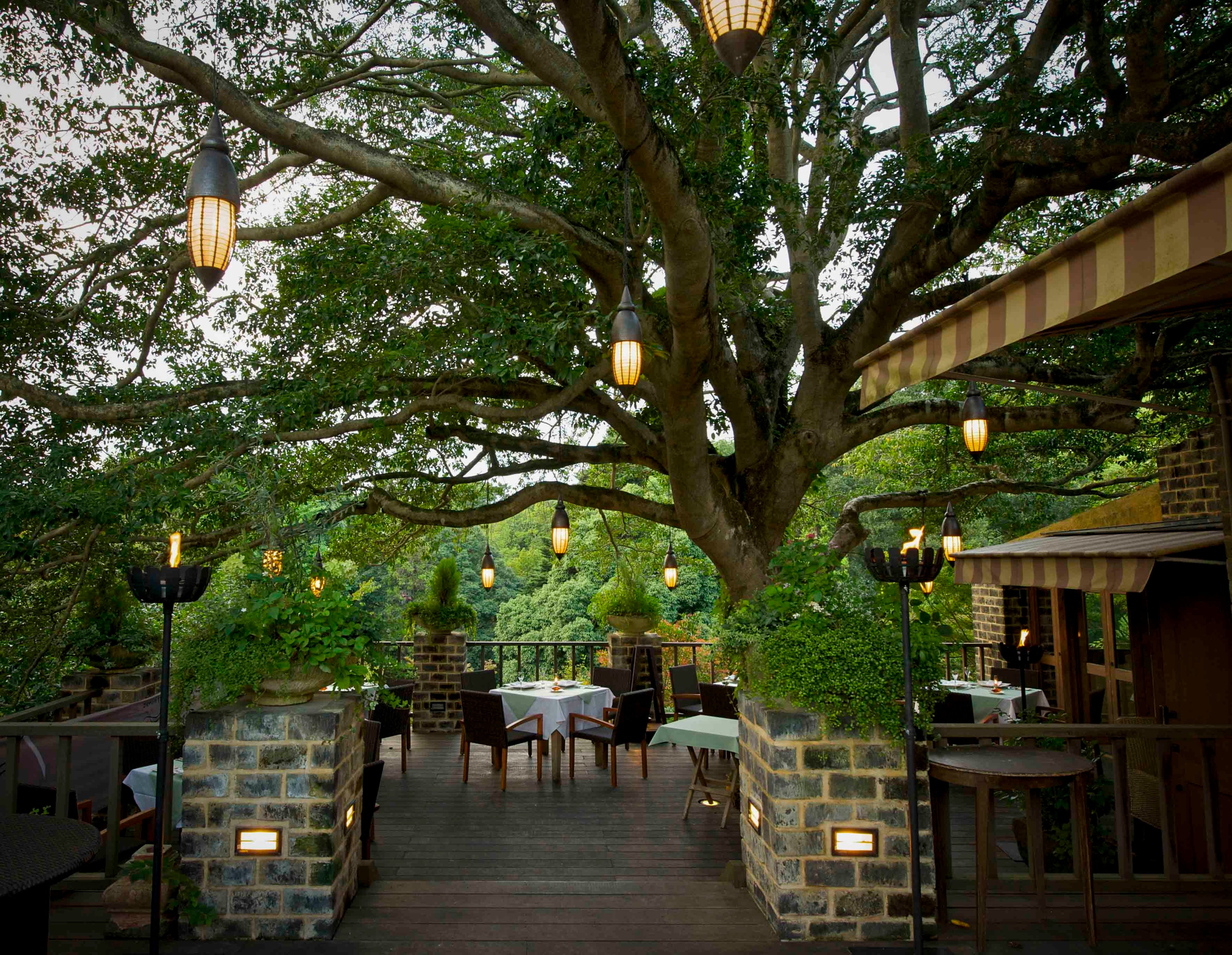 飲食_仏蘭西料理 ラ・テラス