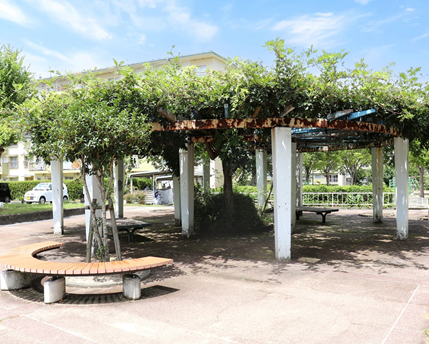 敷地内には緑が生い茂る公園や憩いの場を整備